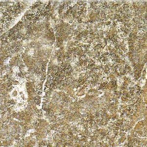 Gạch ốp tường Trường Thịnh WALL TILES G53010